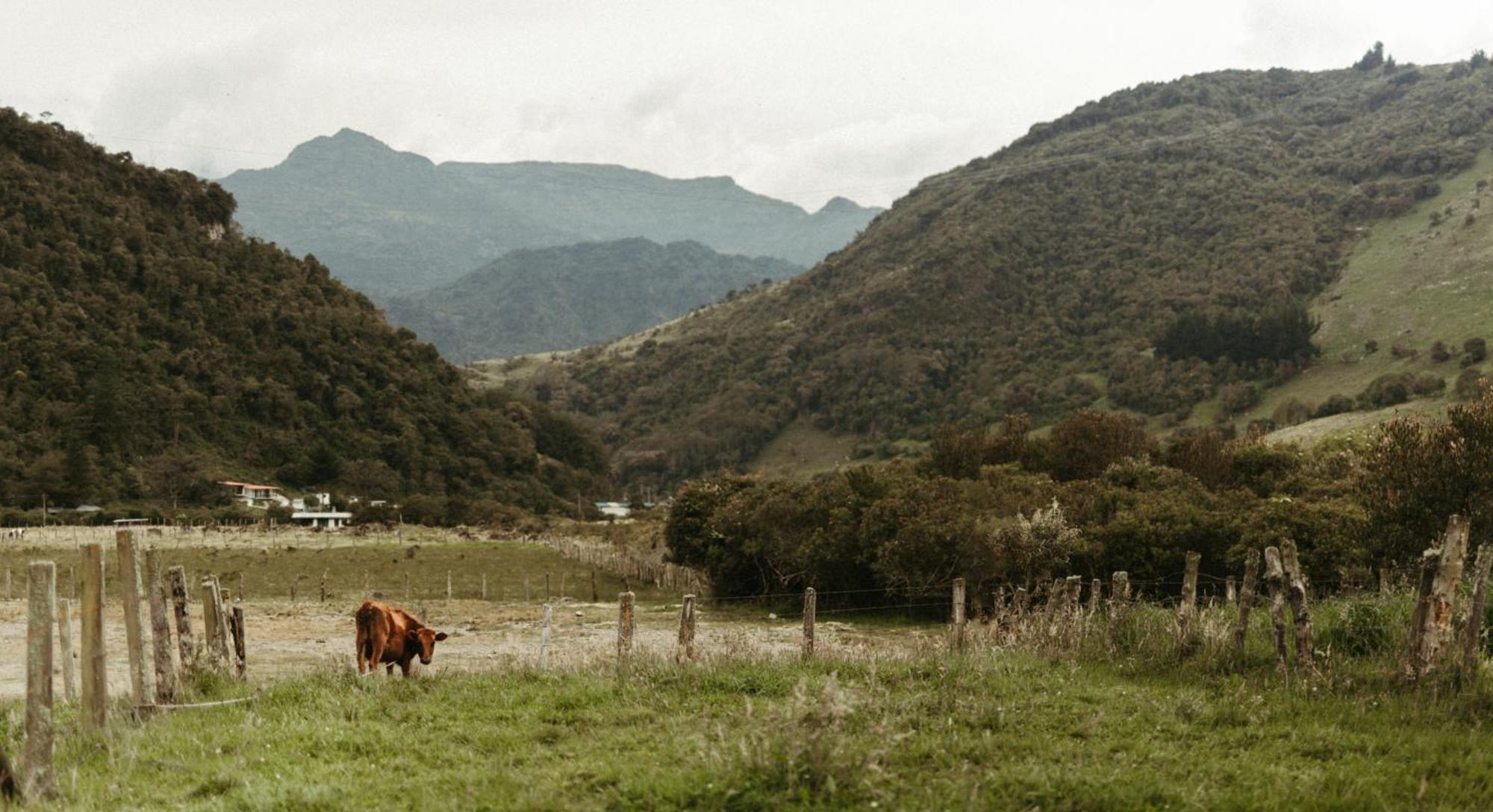 Mamallacta Paramo Lodge Papallacta Bagian luar foto